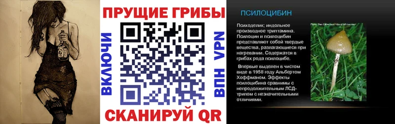 Купить где  Белореченск  Галлюциногенные грибы Psilocybine cubensis 